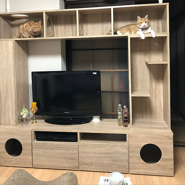 mitoraさんの実例写真