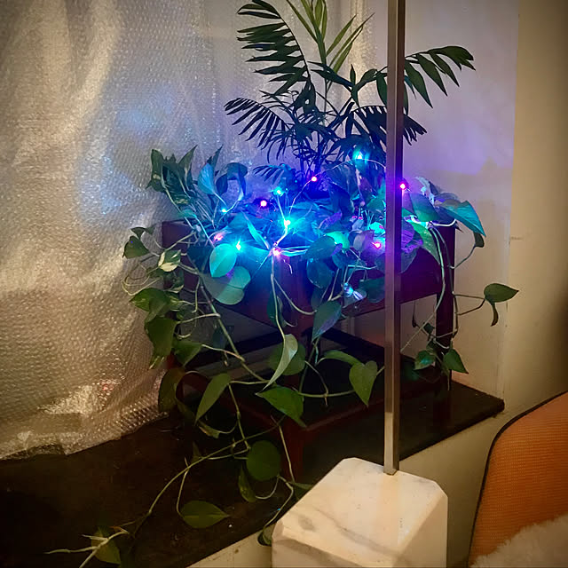 koru030さんの実例写真