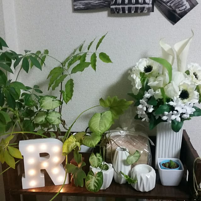 Rikaeさんの実例写真