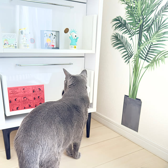snoopyさんの部屋