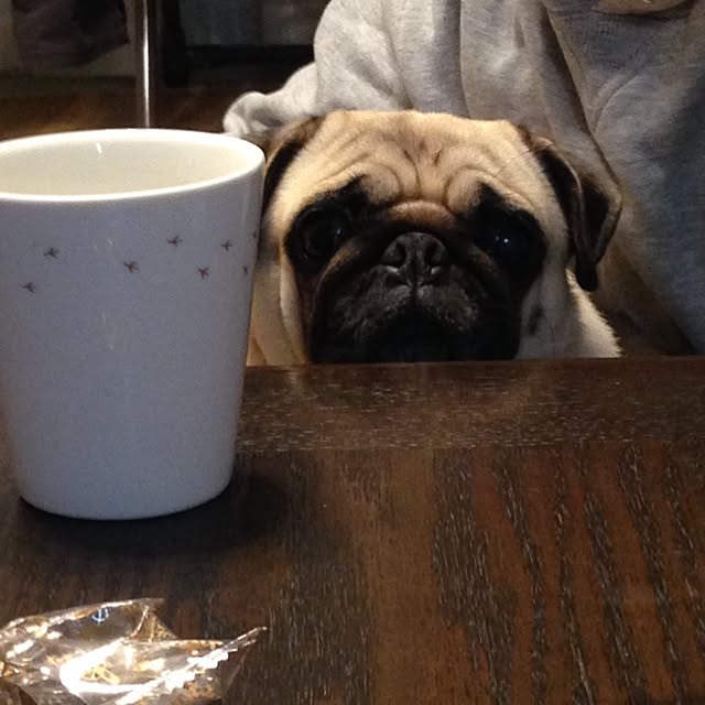 berryさんの実例写真