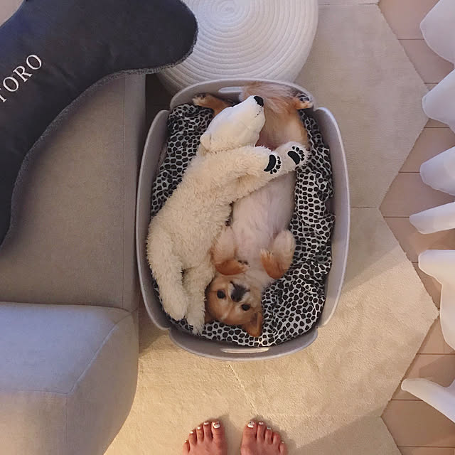 haruhinaさんの実例写真