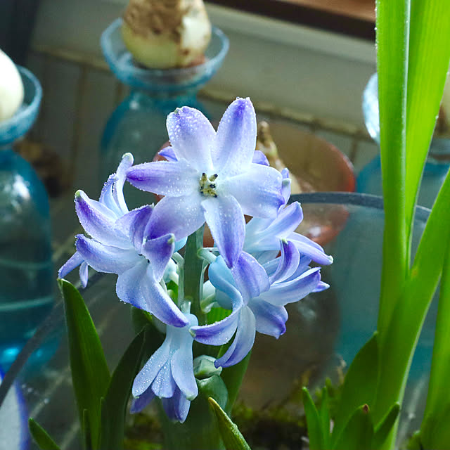 rukakoさんの実例写真