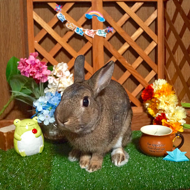 muuさんの実例写真