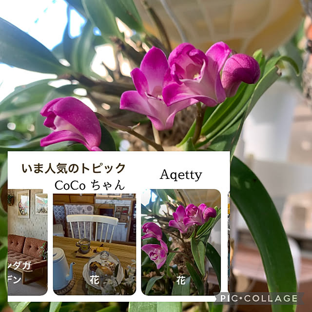 Aqettyさんの実例写真