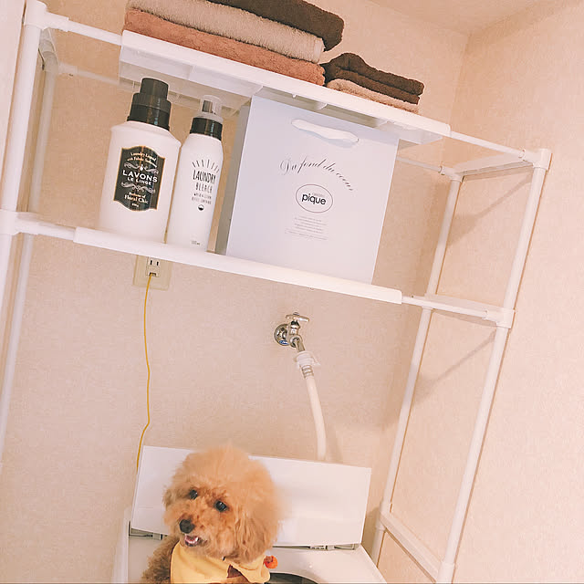Ayaneさんの実例写真