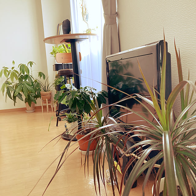 Sさんの実例写真
