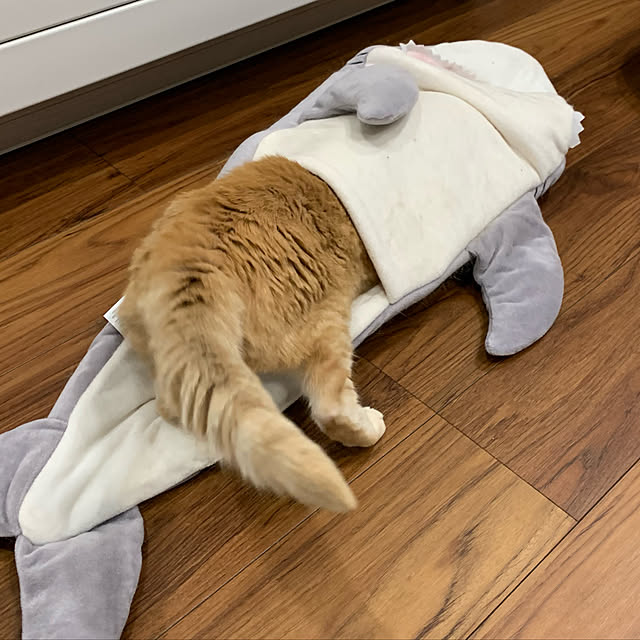 mikeume7さんの実例写真