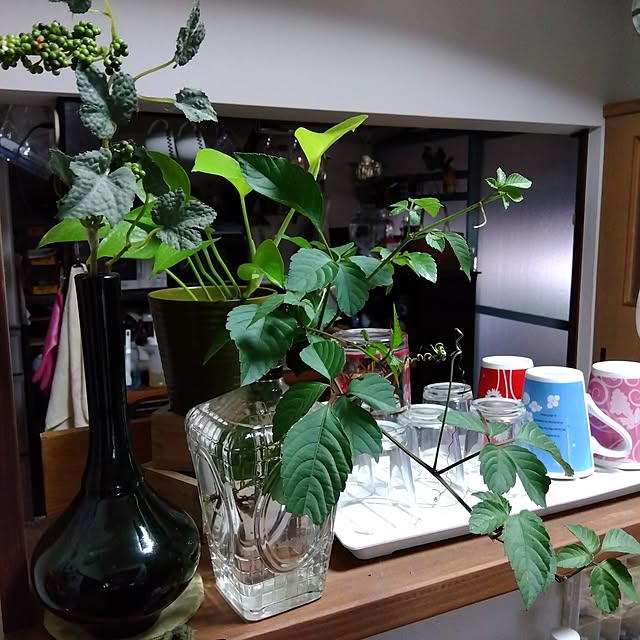 montomoさんの実例写真
