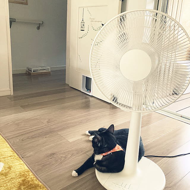 masamasaさんの実例写真