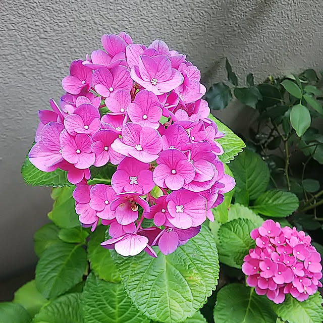 hiromimiさんの実例写真