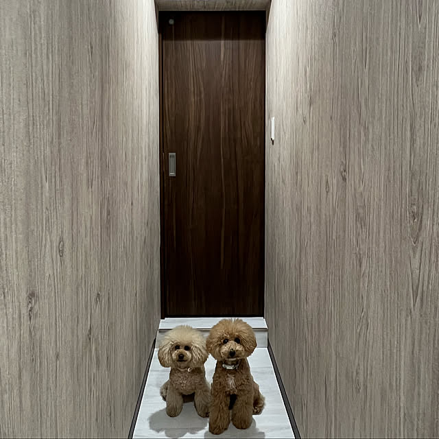 lovelovepoodleさんの実例写真