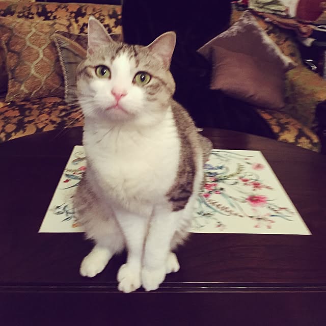 emmyyさんの実例写真