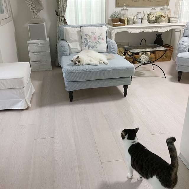yuchiさんの実例写真
