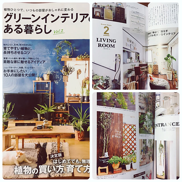 risaさんの実例写真