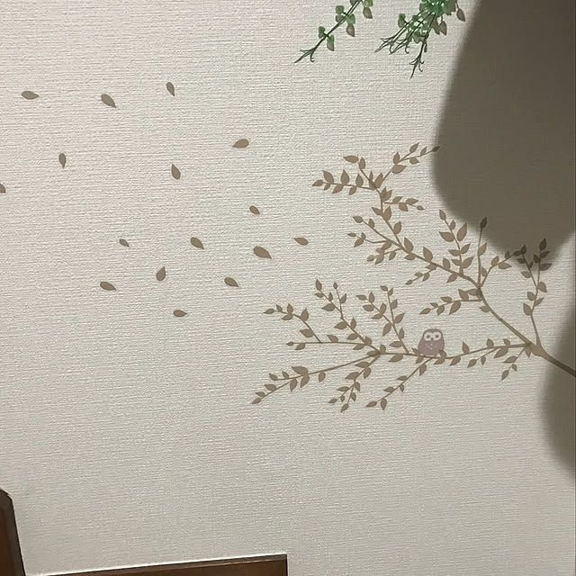 rakugakuさんの実例写真