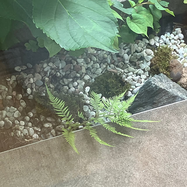 u-さんの実例写真