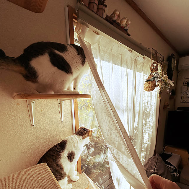 Lufuさんの部屋