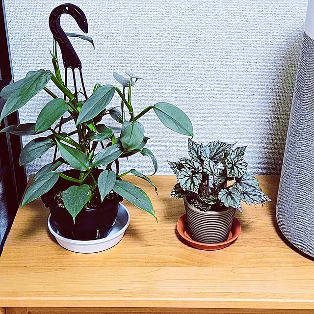 hanachanさんの部屋