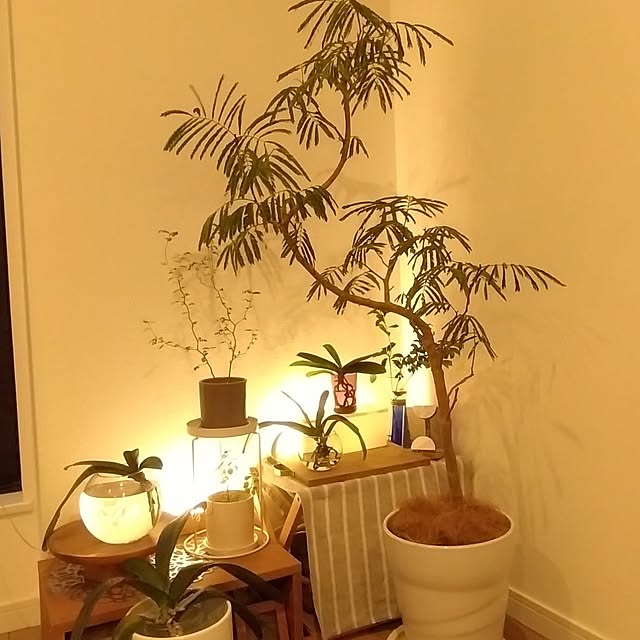 maさんの実例写真