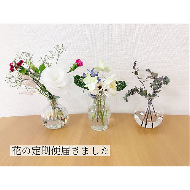 chaluさんの実例写真