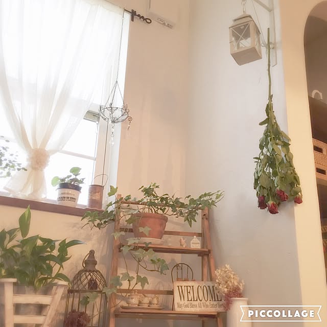 a.marimomoさんの実例写真
