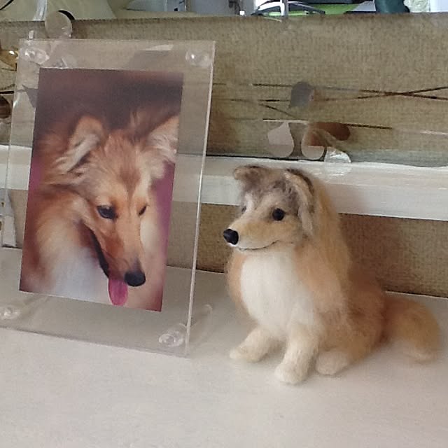 ksyanさんの実例写真