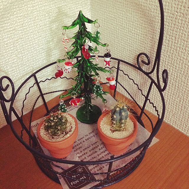 Painofaureliaさんの実例写真