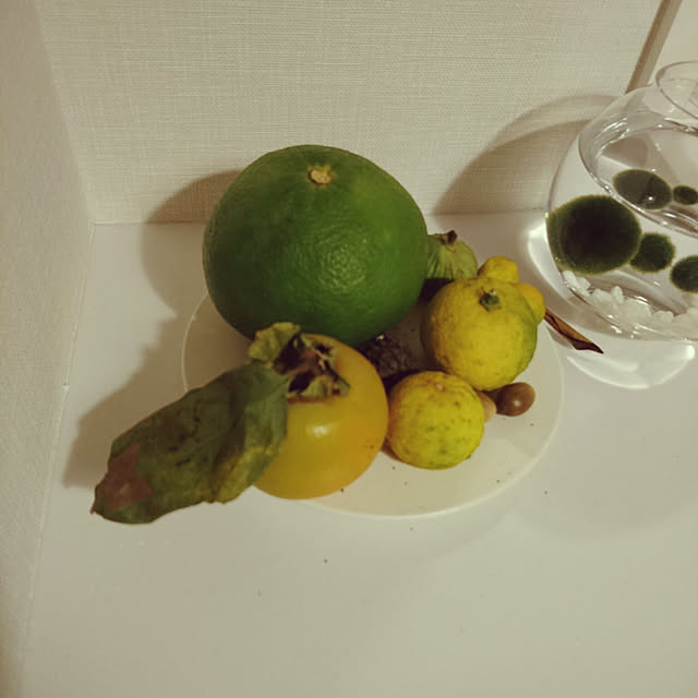 Kateさんの実例写真