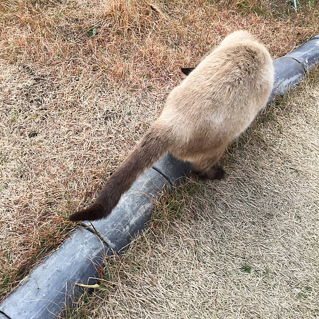 -さんの実例写真