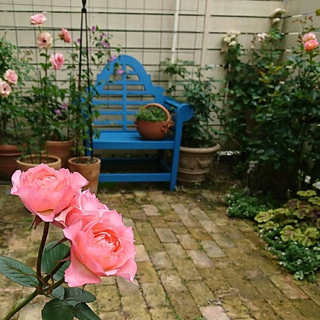 figaroさんの実例写真