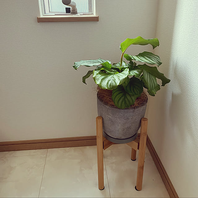 mocoさんの実例写真