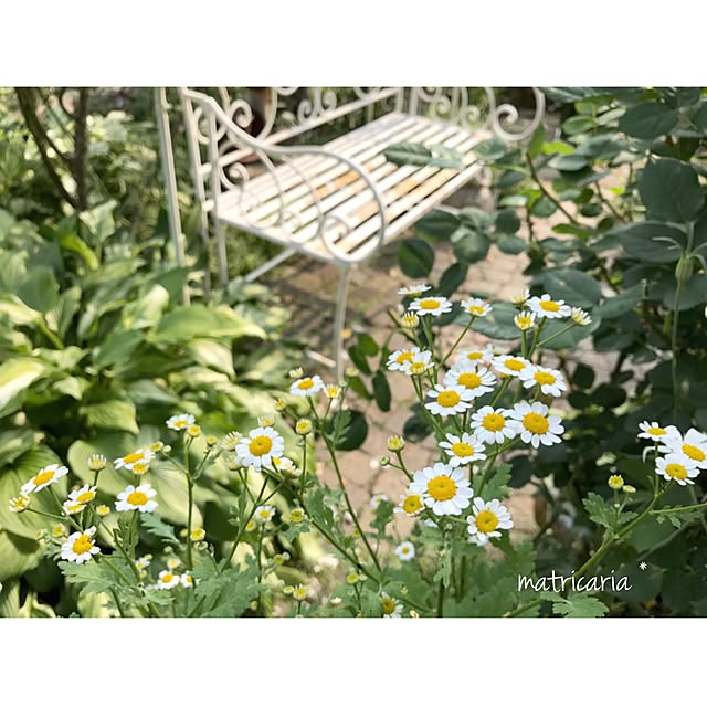 s.mamaさんの実例写真