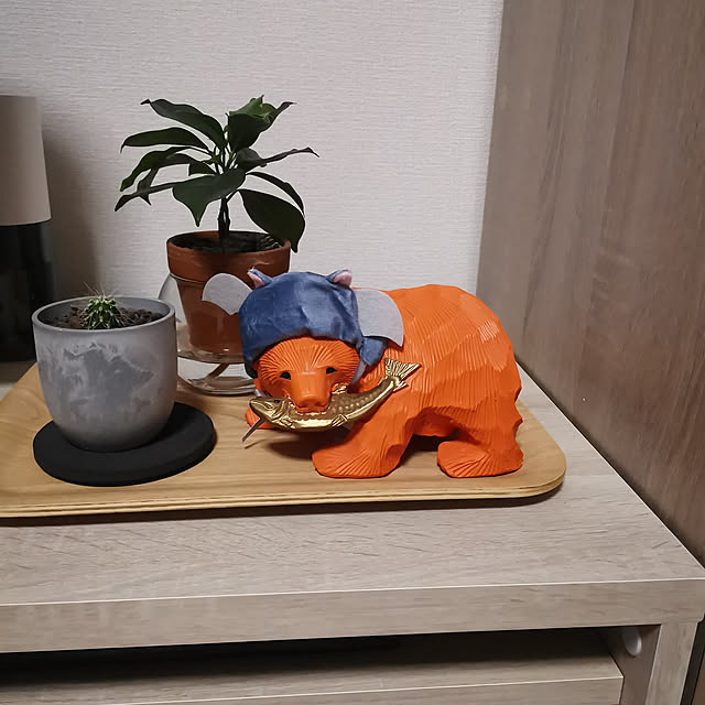 midomiさんの実例写真