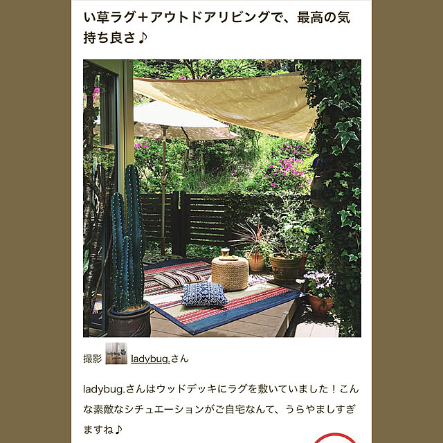 ladybug.さんの実例写真