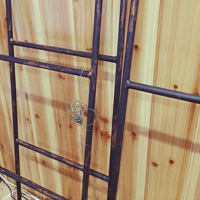 1632tairaさんの実例写真