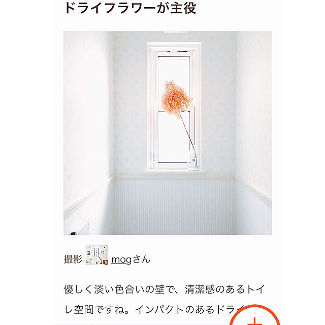 mogさんの実例写真