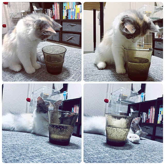 sayaoさんの実例写真