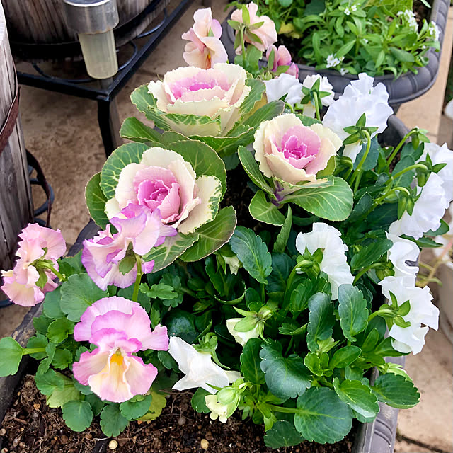 tomoさんの実例写真