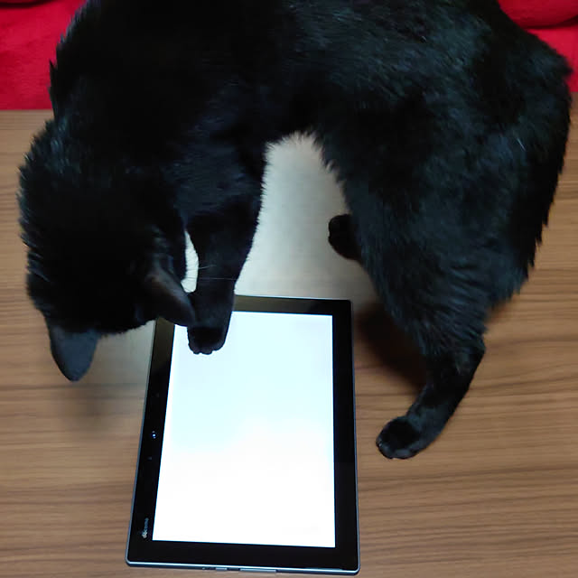 tetumuraさんの実例写真