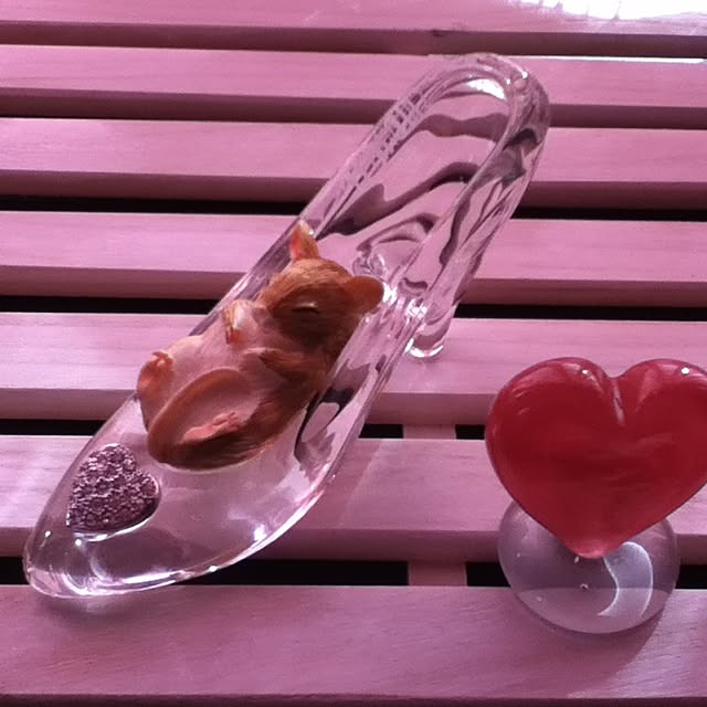 Mapleさんの実例写真