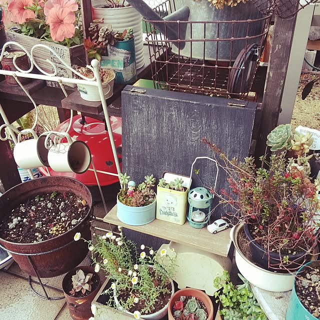 maaさんの実例写真