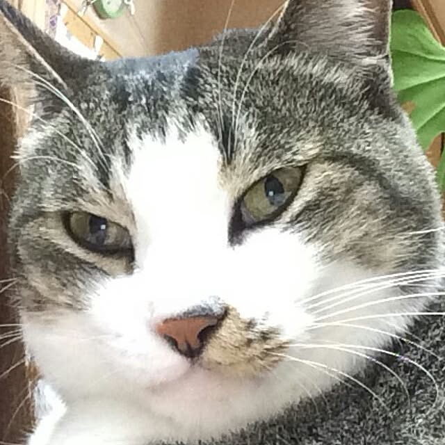 asianoneさんの実例写真