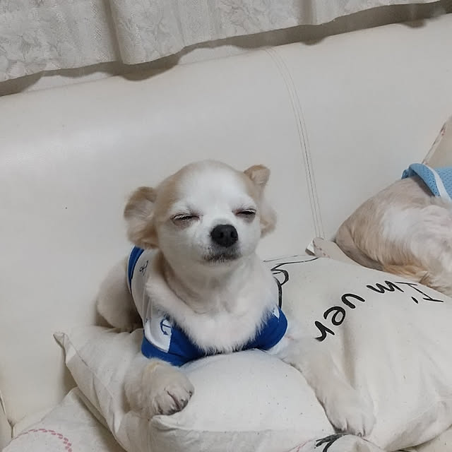ronさんの実例写真