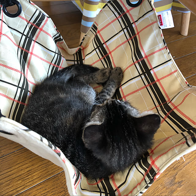 mamiさんの実例写真