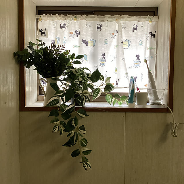 conatuさんの実例写真