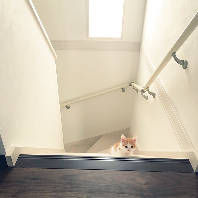 ukoさんの実例写真