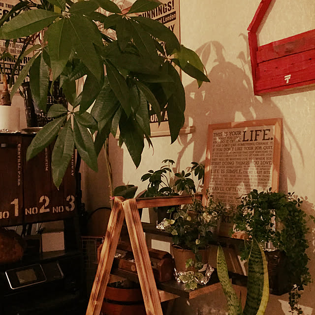 Kuuさんの実例写真