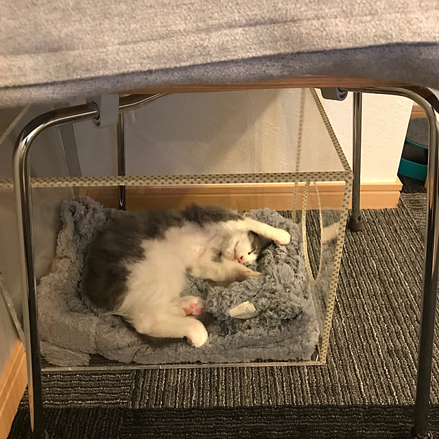 leoさんの実例写真