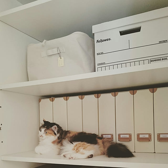 sumosarozaさんの実例写真